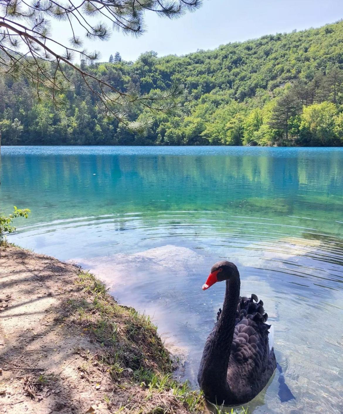 Locanda Della Pieve Pievebovigliana Екстериор снимка